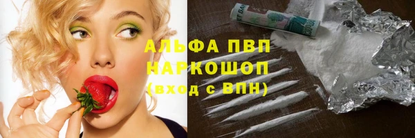 бошки Богданович