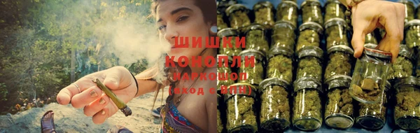 стаф Михайловск