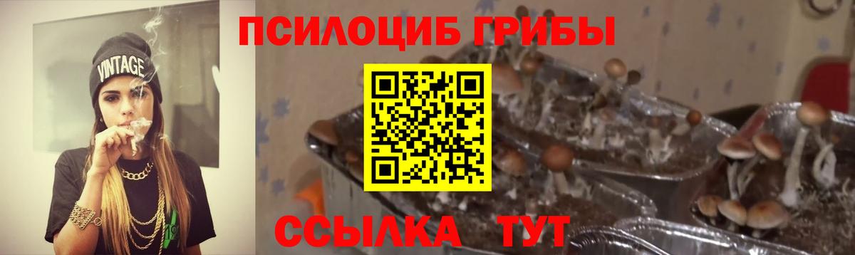 Псилоцибиновые грибы мицелий Фурманов